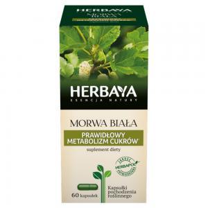 Herbaya Morwa biała x 60 kaps