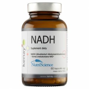 NADH dinukleotyd nikotynoamidoadeninowy  x 60 kaps (Kenay)