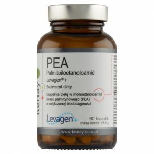 PEA Palmitoiloetanoloamid Levagen®+ x 60 kaps (Kenay)